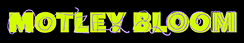 Motley Bloom